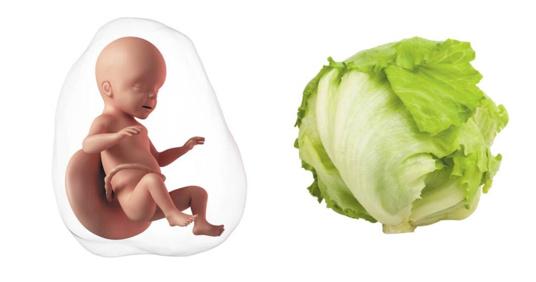 32 Weeks Pregnant Symptoms, Tips, Baby Development